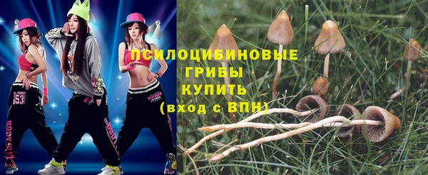 меф Белокуриха