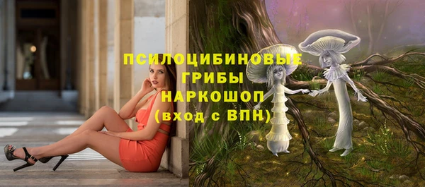 ECSTASY Протвино