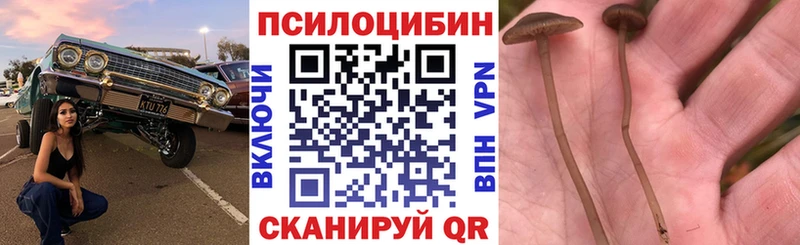 наркошоп  ОМГ ОМГ как зайти  Галлюциногенные грибы Cubensis  Пикалёво 
